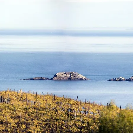 Aterian Mandabide Lejlighed