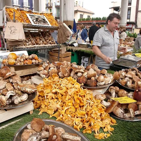 Aterian Mandabide Зараутц