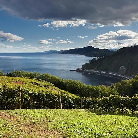 Aterian Mandabide * Zarautz